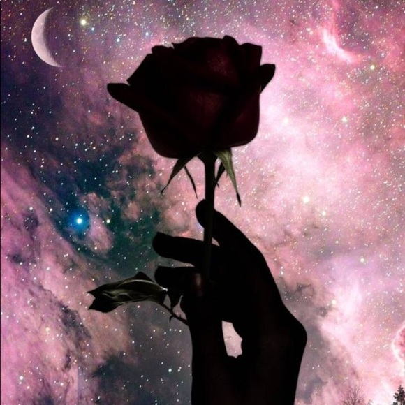 Meet your Posher, Kate - Picture 1 of 1